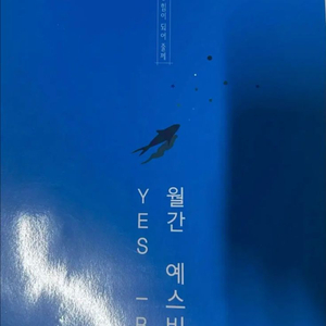 2025 강남대성 예스비 3 강대k 등 모음 16회분 이미지