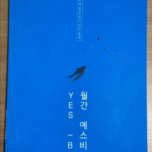 2025 강남대성 예스비3 강대 k 등 모음 16회분 이미지