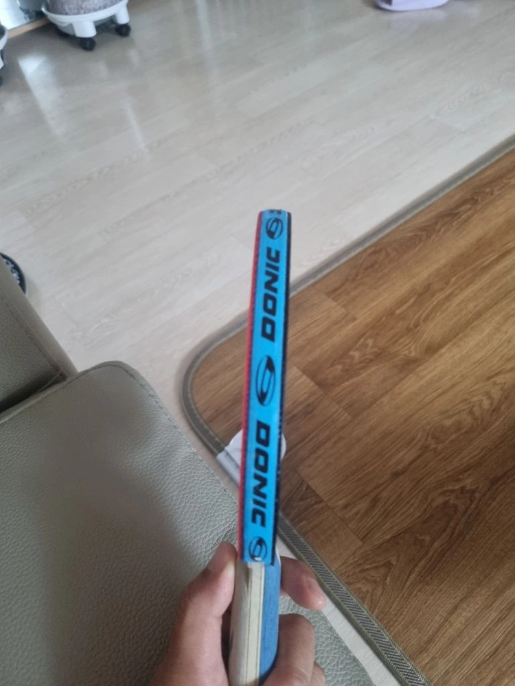 도닉탁구체 이미지