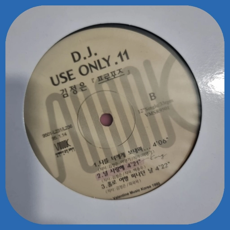 DJ 홍보용 LP 이미지