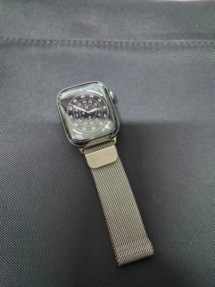 애플워치11 42mm 티타늄 실버 밀레니즈루프 - 안심되는 중고거래