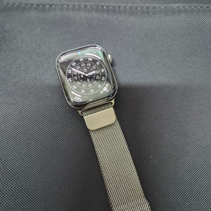 애플워치11 42mm 티타늄 실버 밀레니즈루프 이미지