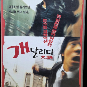 개 달리다 비디오테이프 이미지