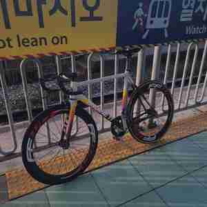 엔진11 디럭스 중급구성 판/대 이미지