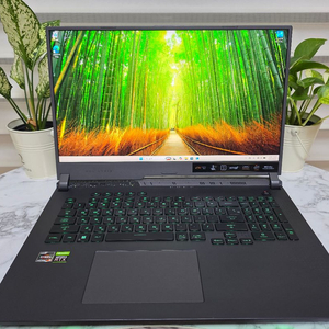 RTX4070,5060급<3080/ DDR5 32gb / SSD1테라 / 6900HX ROG노트북 이미지