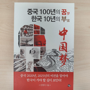 책 도서 중국 100년의 꿈 한국 10년의 부 (전병서 지음) 이미지