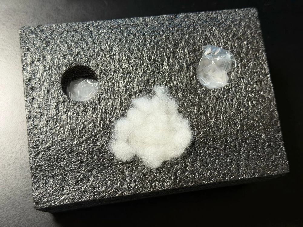 포켓몬 스케일월드 레진 pokehub 쉐이미 이미지