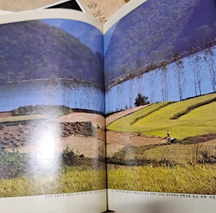 한국의 발견 뿌리깊은 나무 11권셋트 이미지