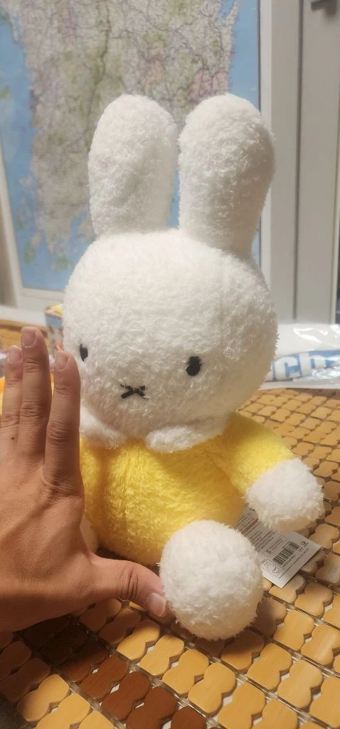정품 미피 인형+ 무료나눔 미피 키링 - 안심되는 중고거래