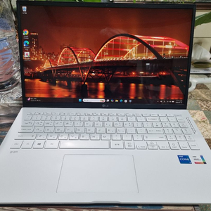 LG 그램15Z95N-GRWWL 11세대 이미지