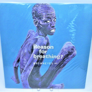 [미개봉/극희귀/한정판] 브라운 아이즈 2집 (Brown Eyes 2nd) Reason for breathing. 이미지
