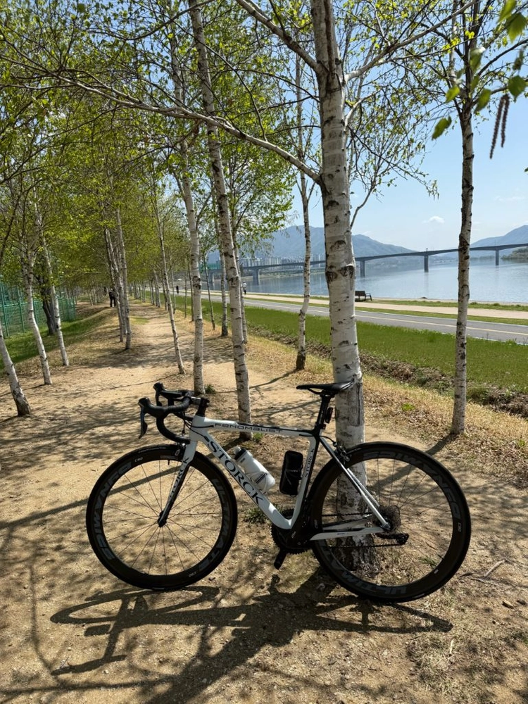 스톡 STORCK 페노말리스트 풀카본 림브 자전거. 스페셜라이즈드 트렉 피나렐로등 - 안심되는 중고거래