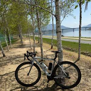 스톡 STORCK 페노말리스트 풀카본 림브 자전거. 스페셜라이즈드 트렉 피나렐로등 이미지