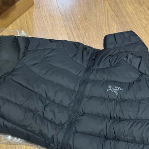 아크테릭스 세륨후디 우먼 블랙 이미지