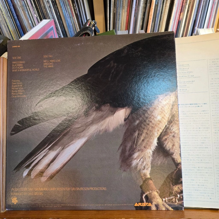 Dave Valentin.the hawk.79.JP.초반.NM/NM.민트급LP 이미지