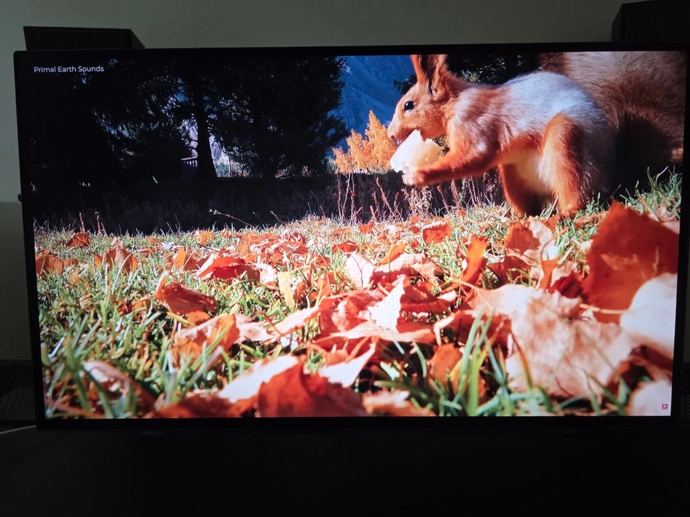LG 27GX700A 280HZ OLED 모니터 판매합니다 이미지