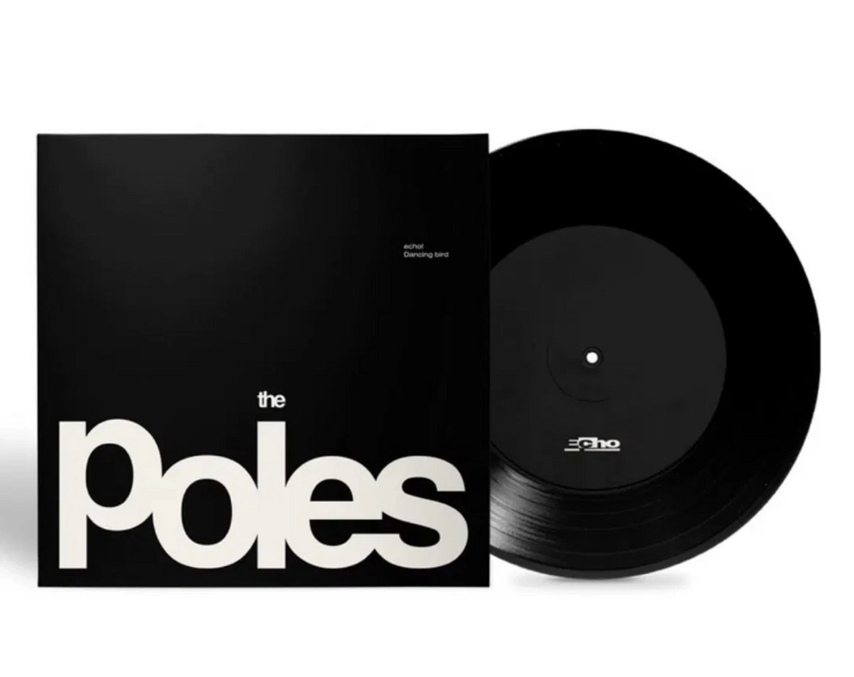 더 폴스 LP - The Poles Echo 7인치 판매 합니다 이미지