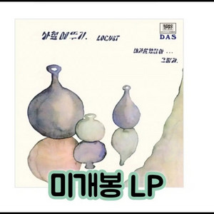 로커스트 (사철메뚜기) - 내가 말했잖아 LP 이미지