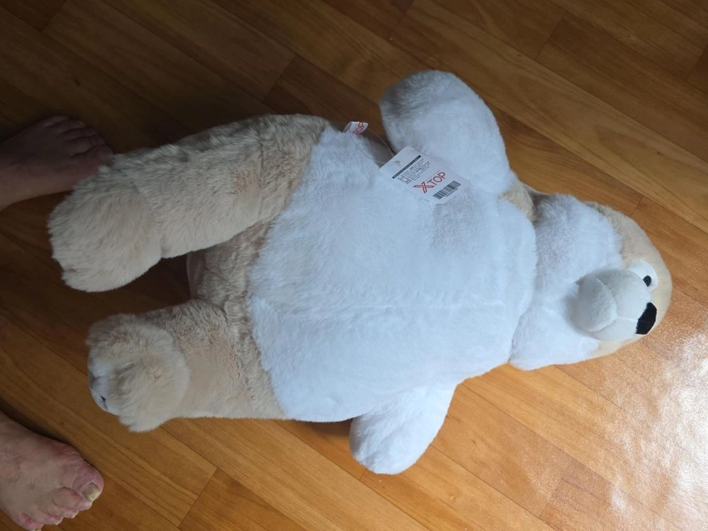 엑스탑 베이지 화이트 곰 봉제인형 이미지