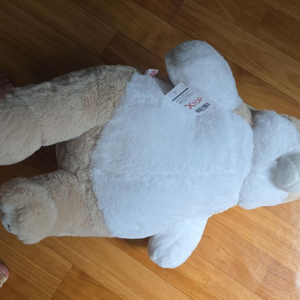 엑스탑 베이지 화이트 곰 봉제인형 이미지
