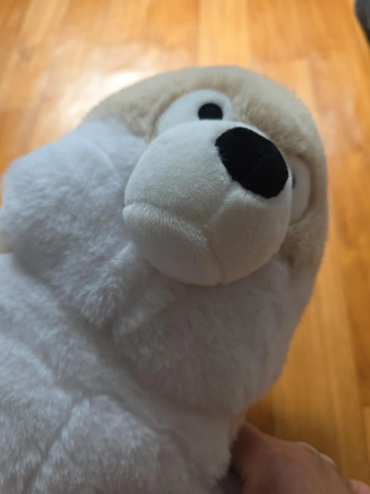 엑스탑 베이지 화이트 곰 봉제인형 이미지