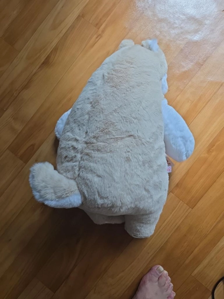 엑스탑 베이지 화이트 곰 봉제인형 이미지
