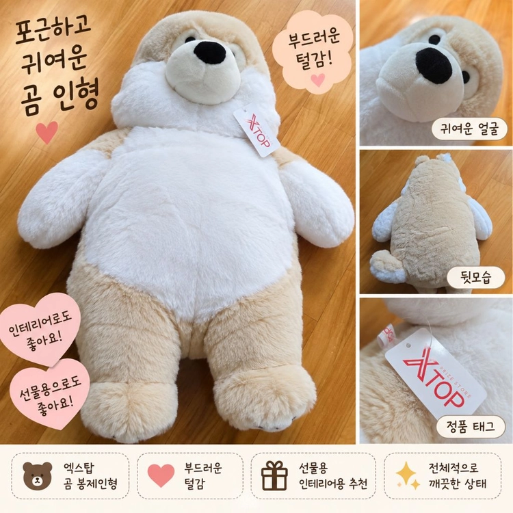 엑스탑 베이지 화이트 곰 봉제인형 이미지