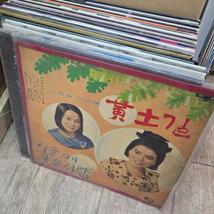 LP 약 110장 일괄 이미지