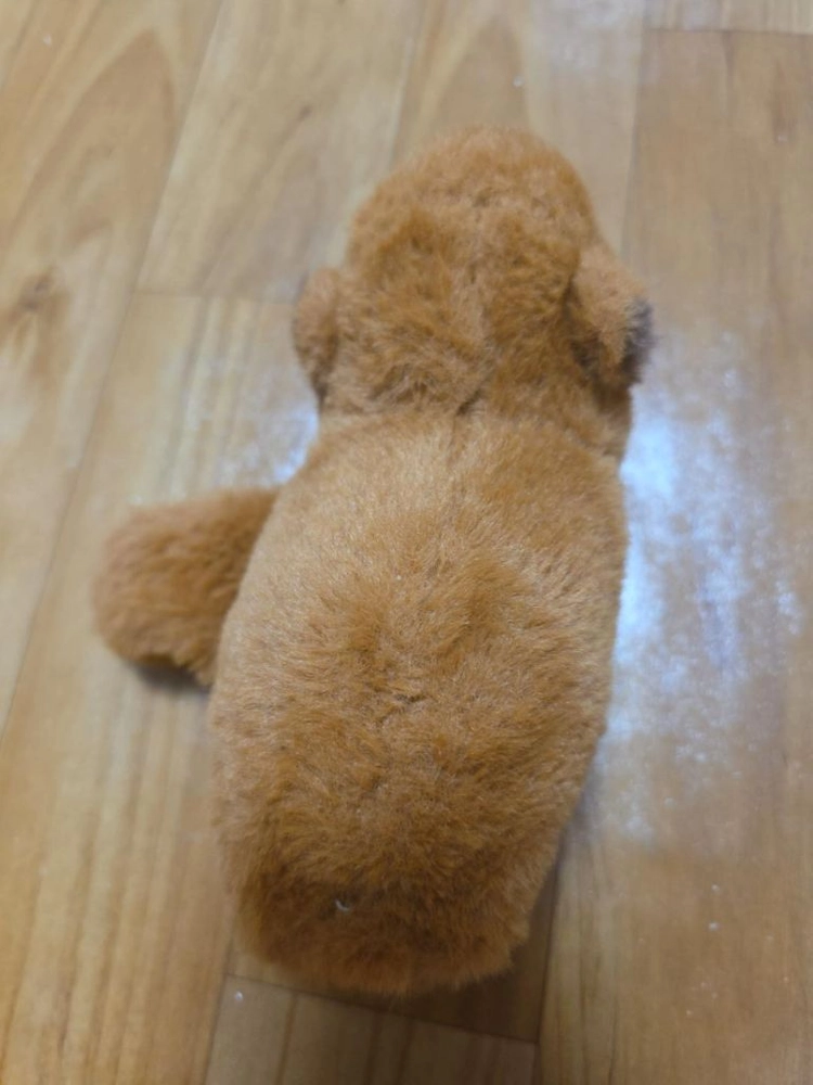 갈색 강아지 봉제인형 이미지