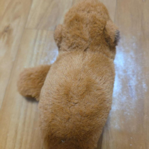 갈색 강아지 봉제인형 이미지