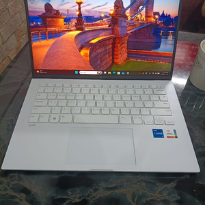 LG 그램 14인치 모델 14Z95N-GP5KL 이미지