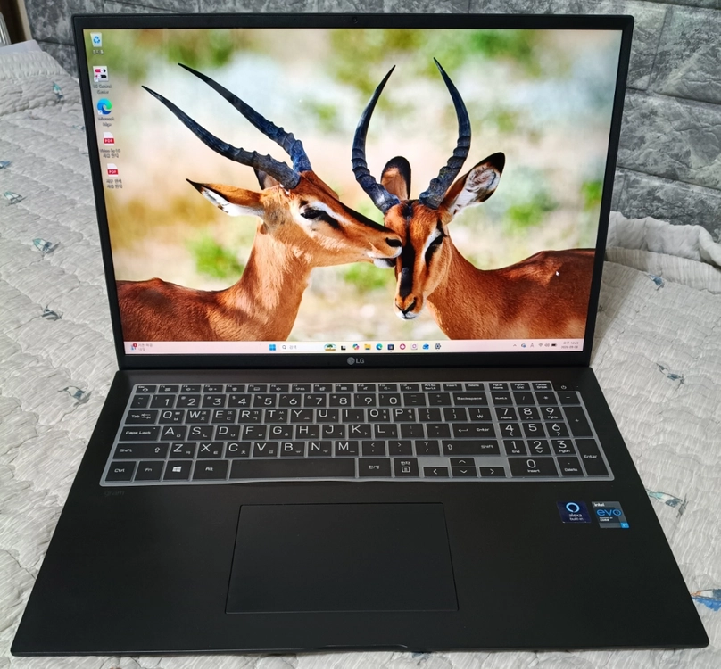LG그램 17Z90P-K.AAC8U1 i7-17인치 - 안심되는 중고거래