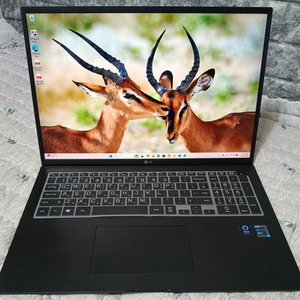 LG그램 17Z90P-K.AAC8U1 i7-17인치 이미지