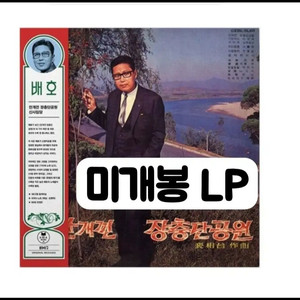 배호 - 안개 낀 장충단 공원, 신사임당 [180g LP][500장 한정 이미지