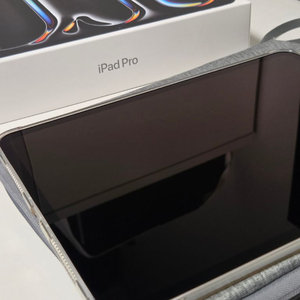 애플 아이패드 프로 11인치 M5 256GB 셀룰러 실버 색상 이미지