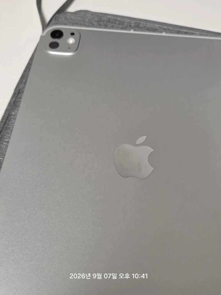 애플 아이패드 프로 11인치 M5 256GB 셀룰러 실버 색상 이미지