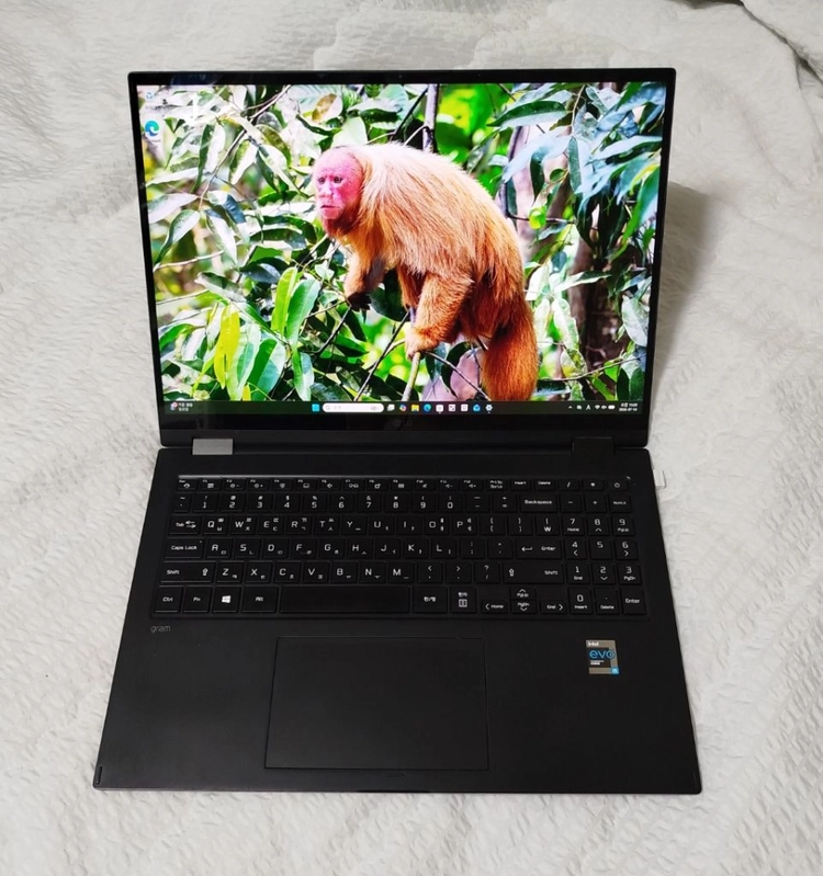 LG그램 16T90P-GR5BK 360 블랙 이미지