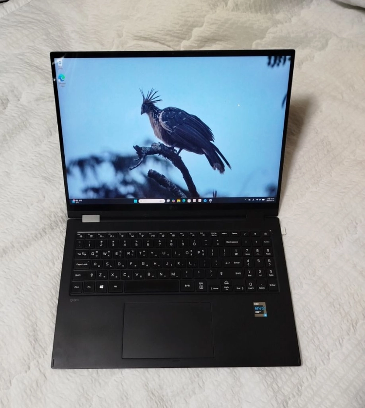 LG그램 16T90P-GR5BK 360 블랙 이미지