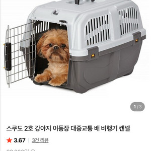 스쿠도2 강아지 고양이 이동장 켄넬 이동가방 하우스 이미지