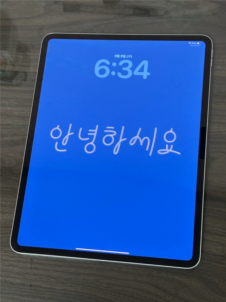 아이패드 프로 m4 13 256gb wifi 실버 이미지