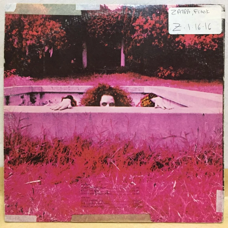 LP ; frank zappa - hot rats 프랭크 자파 싸이키델릭 락 명반 psychedelic rock 이미지