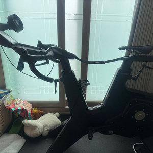 (가격인하)탁스 네오바이크 1세대 팝니다 이미지
