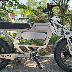 위페드(WEPED) F1 자토바이 / 실버 듀얼모드 60V 30Ah 전기자전거 이미지