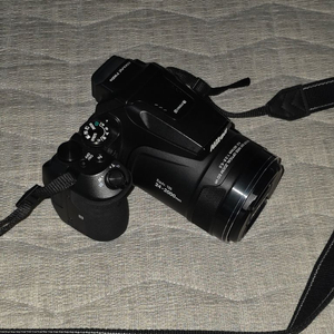 니콘 쿨픽스 P900S 83배 망원카메라 판매합니다. 탐조카메라 이미지