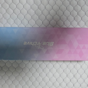 블루아카이브 선글라스 이미지