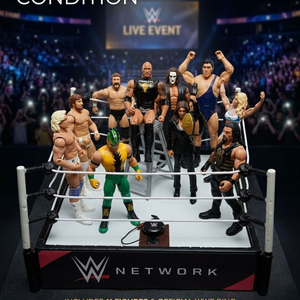 추억의 WWE 피규어 세트 판매합니다 이미지
