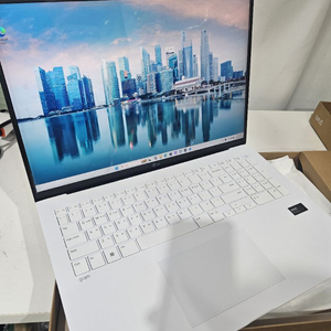 LG 그램 17인치 노트북 17Z90S-GA5VK 이미지