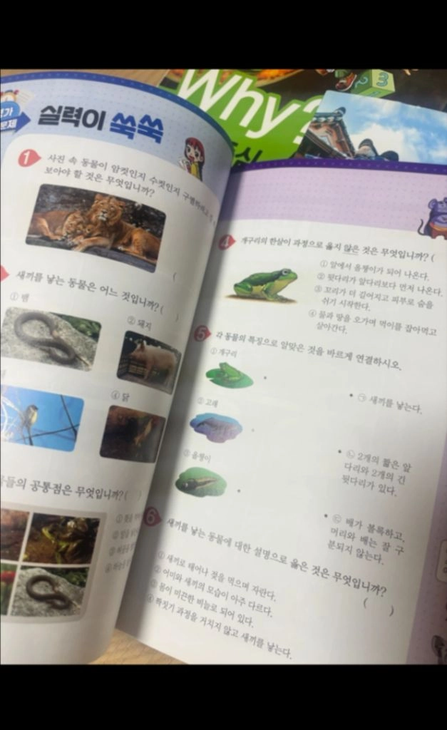 Why? 교과서 중심 만화 3학년 전권 이미지