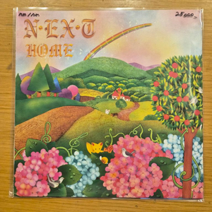 넥스트 lp 이미지