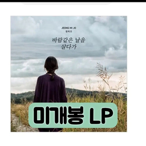 정미조 - 바람같은 날을 살다가 [180g 컬러반 LP] 이미지
